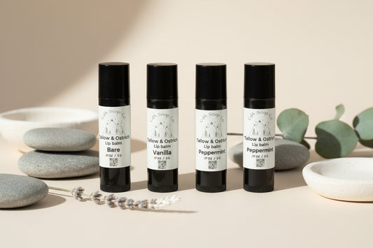Four lip balm tubes with different scents on a white background with stone and plant accents 