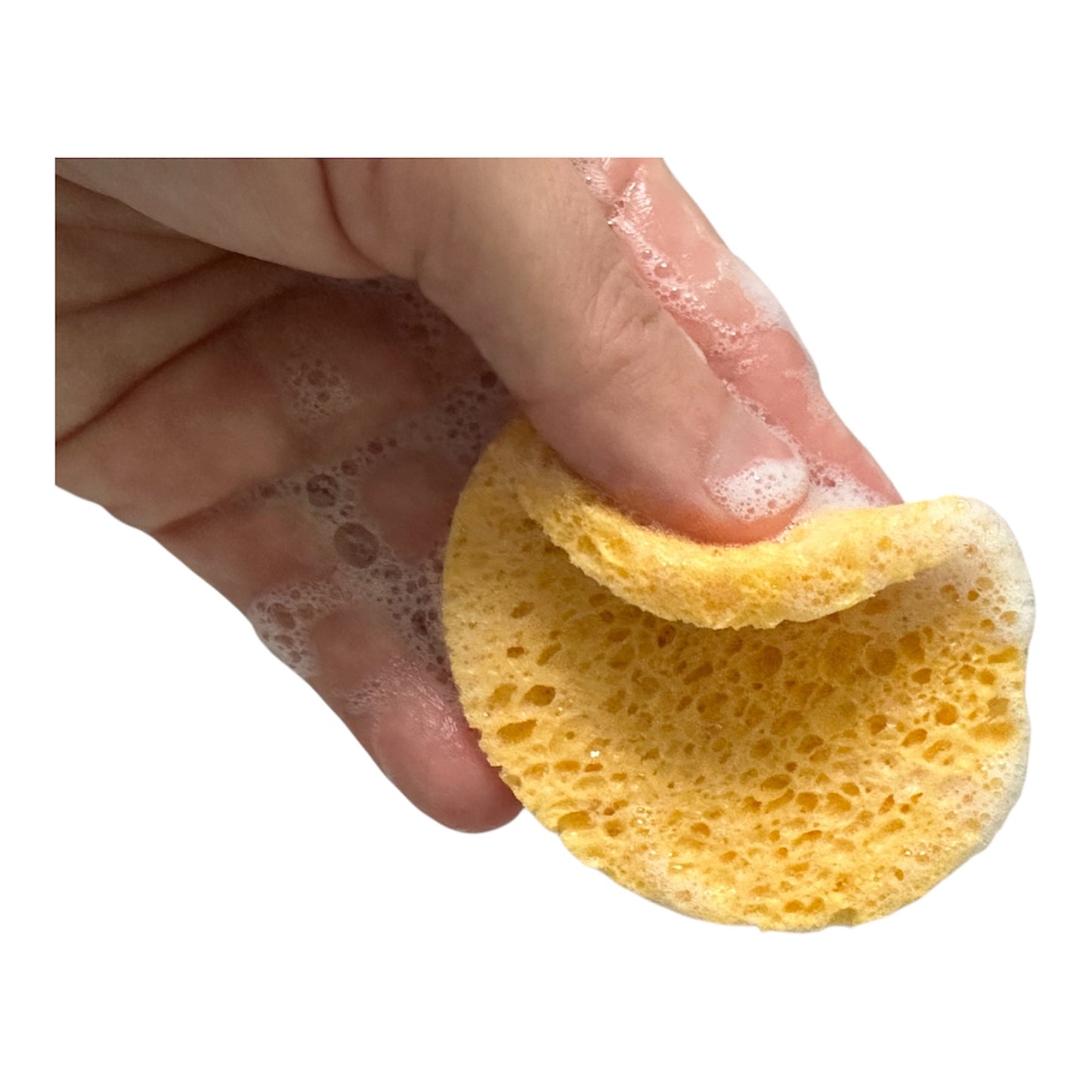 Orange Cellulose Facial Sponges